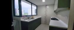 Twin Fountains (D25), Condominium #594259651